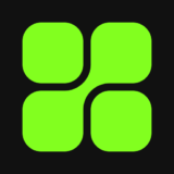 WordPress website developer